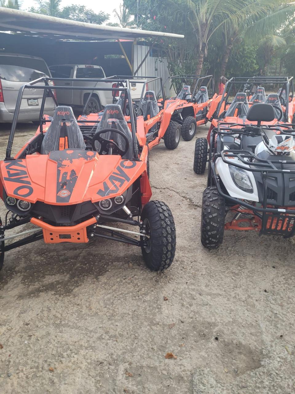 Buggies VIP: Ruta Técnica Extrema - Foto 5