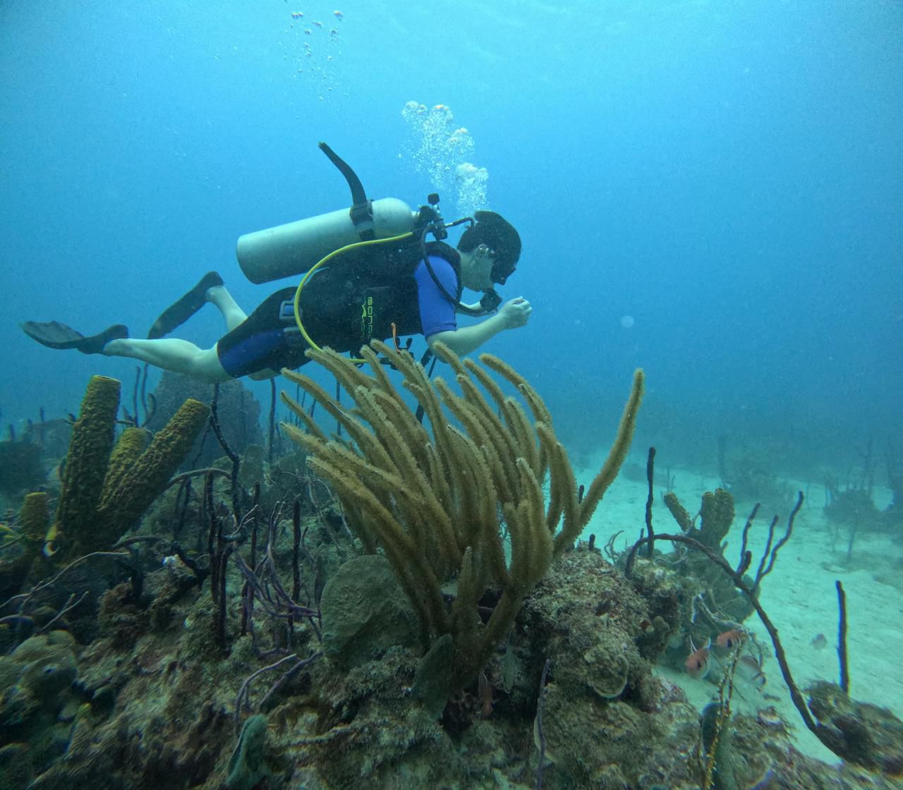 Experiencia de Buceo