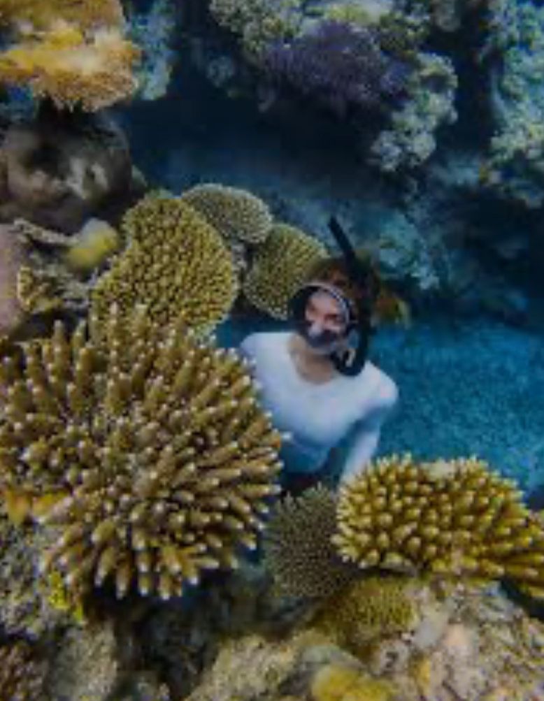 Isla Catalina: Snorkel y Playa Privada - Foto 3