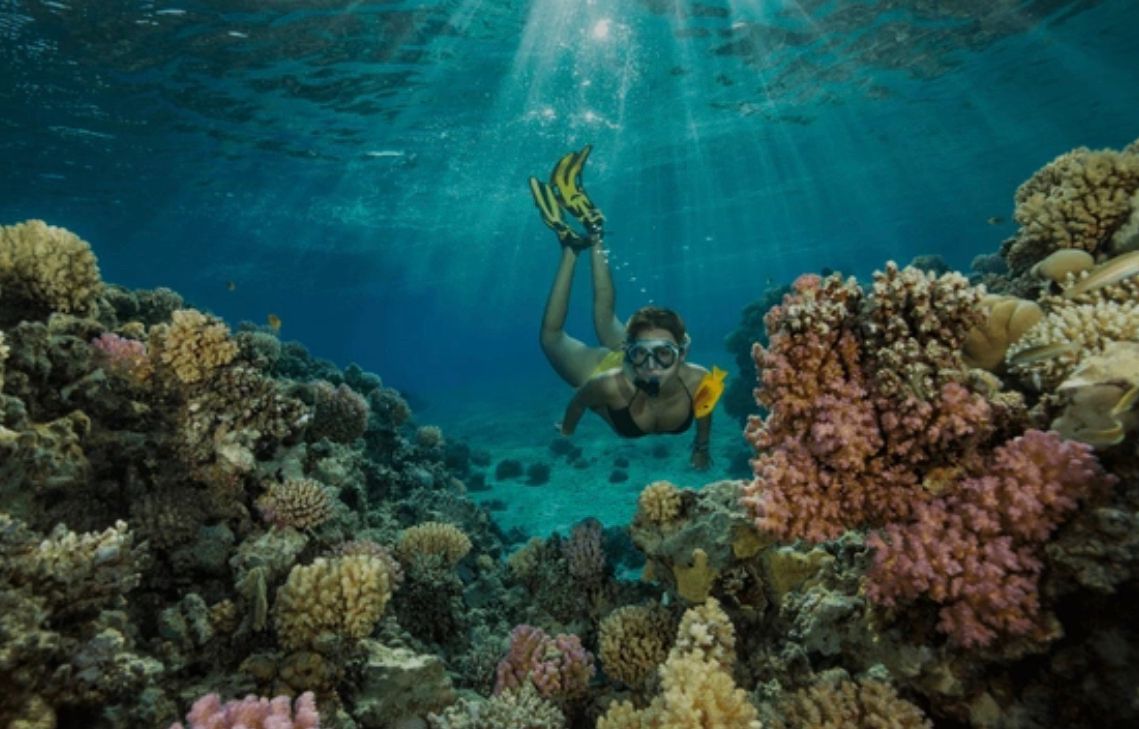 Isla Catalina: Snorkel y Playa Privada - Foto 4