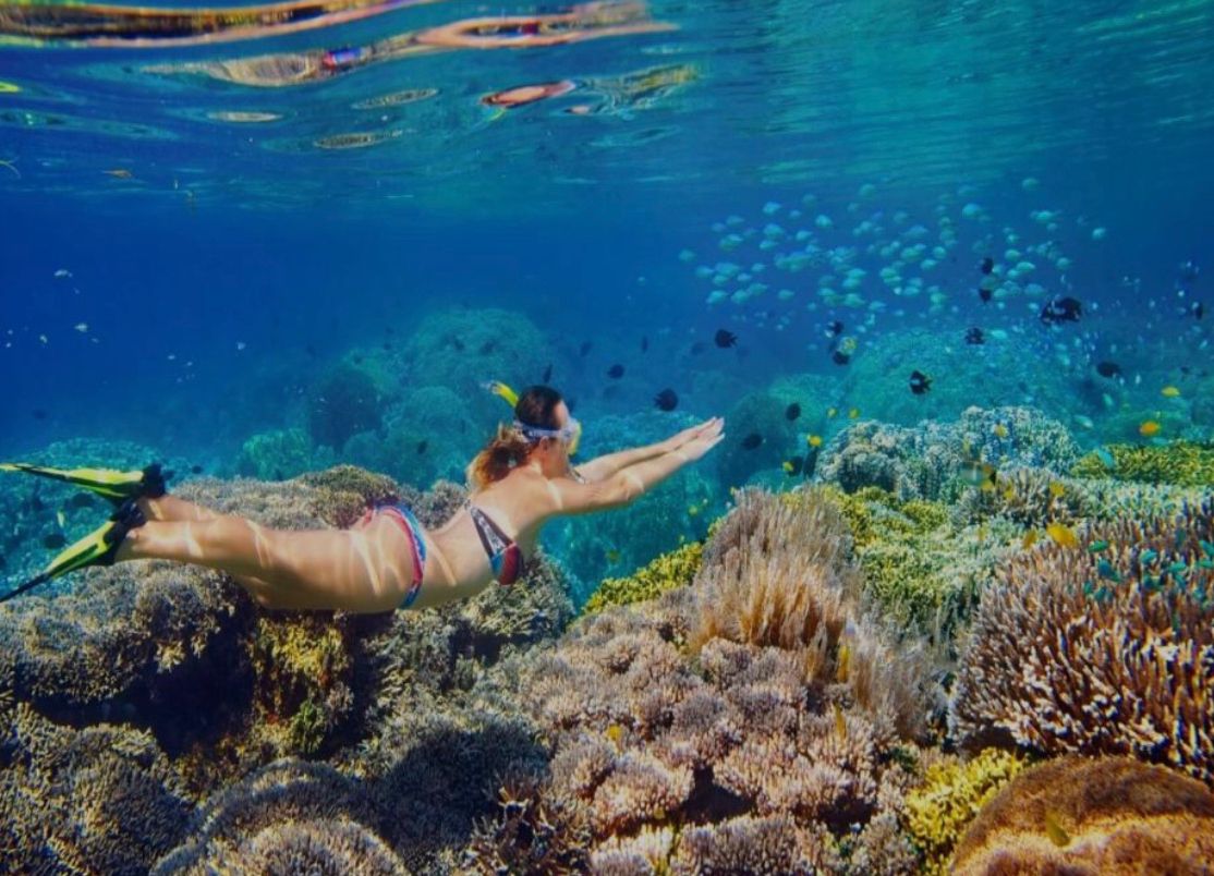 Isla Catalina: Snorkel y Playa Privada - Foto 5