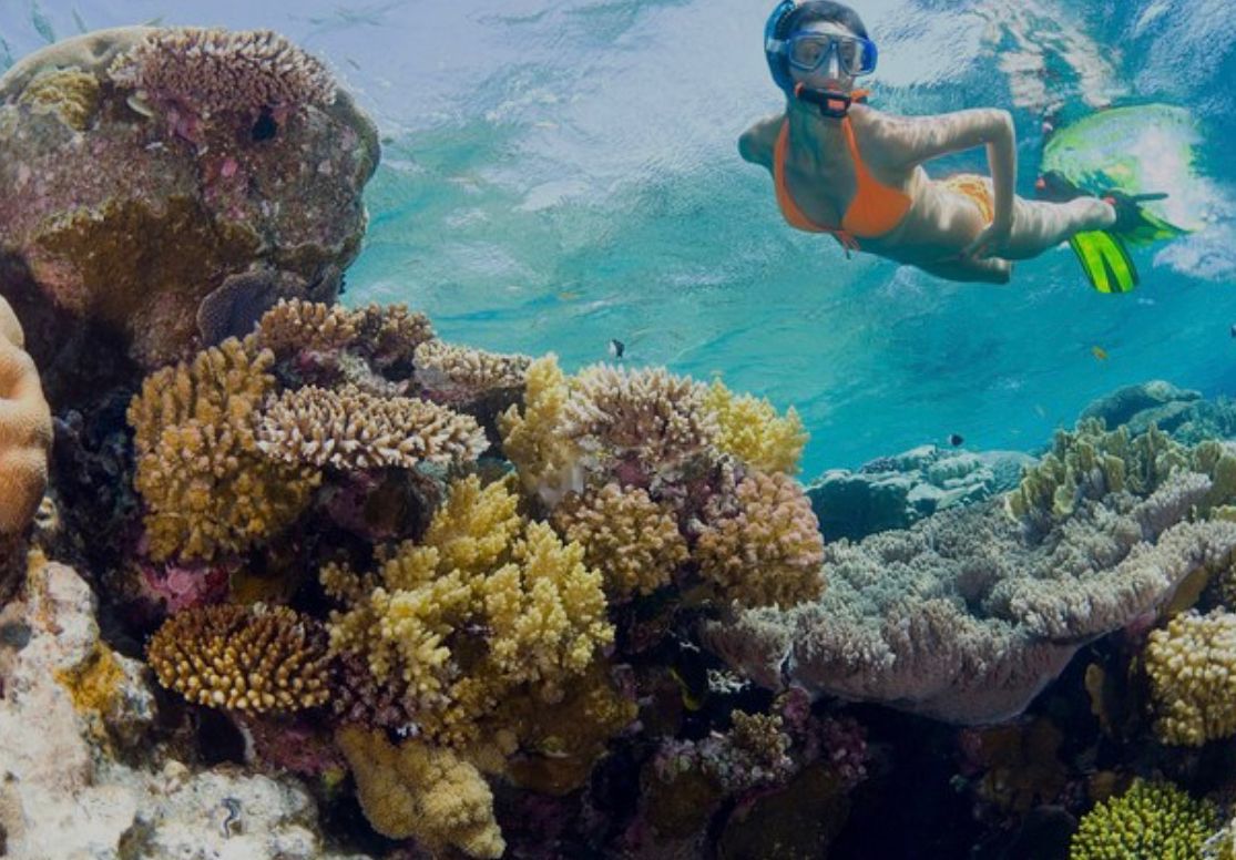 Isla Catalina: Snorkel y Playa Privada - Foto 6