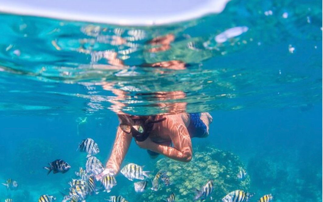 Isla Catalina: Snorkel y Playa Privada