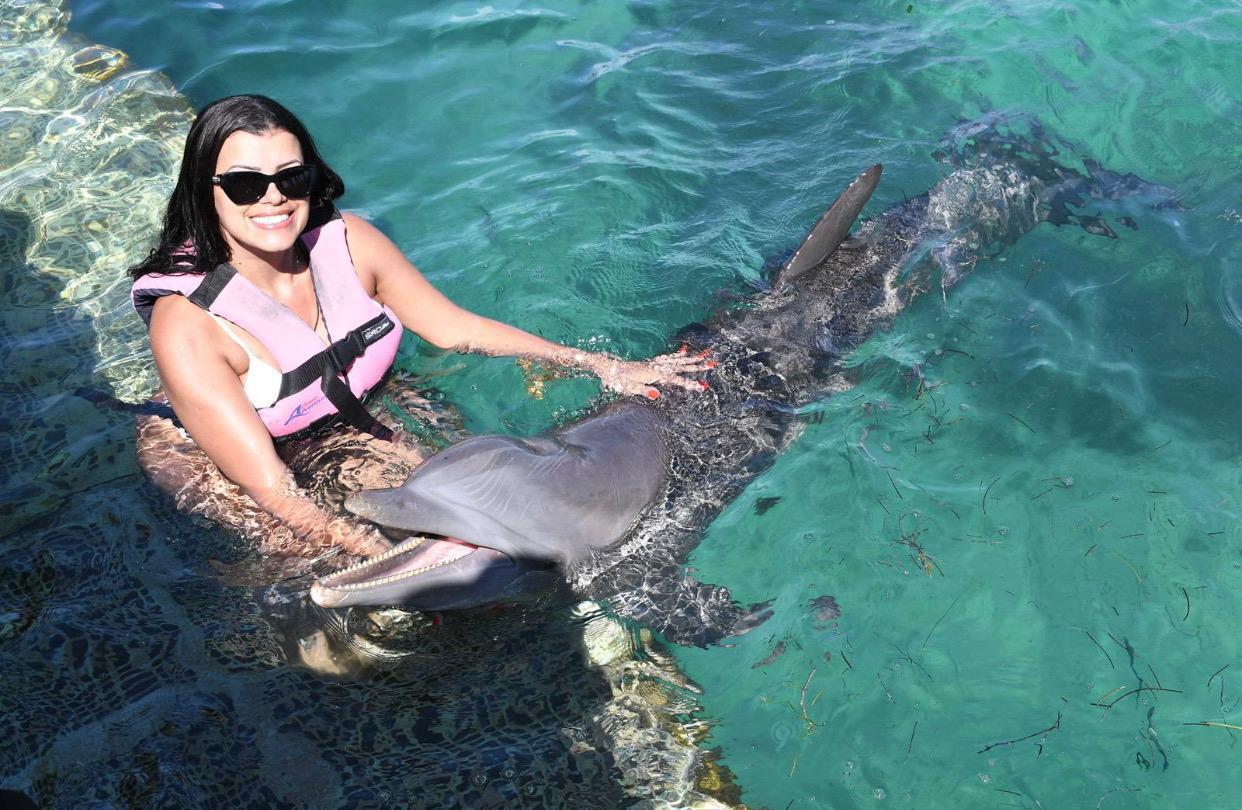 Nado con Delfines: Experiencia Inolvidable - Foto 5