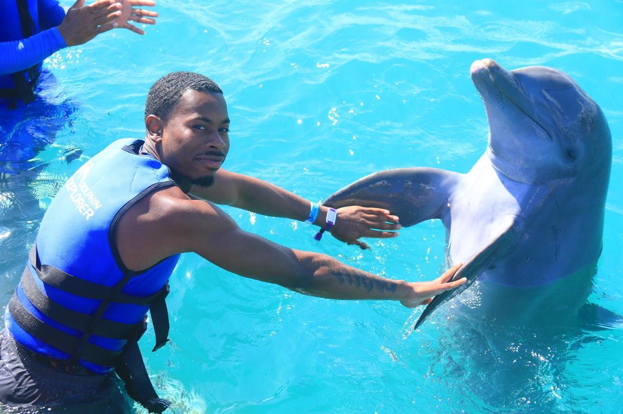 Nado con Delfines: Experiencia Inolvidable - Foto 7