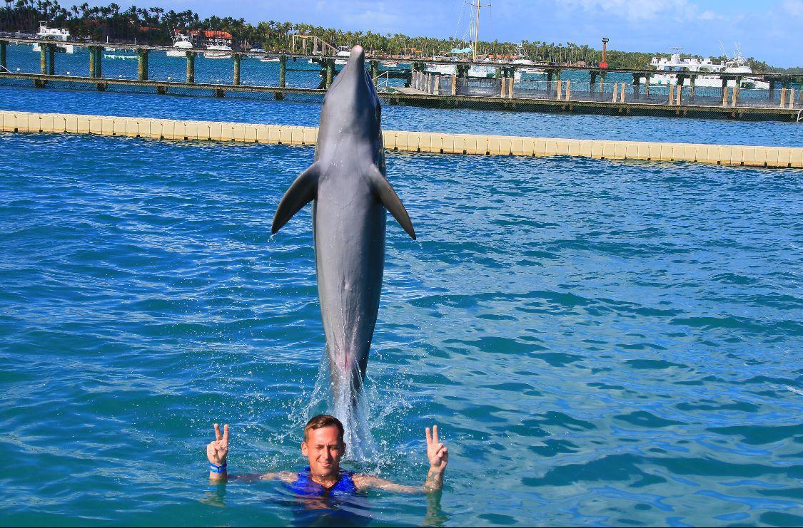 Nado con Delfines: Experiencia Inolvidable