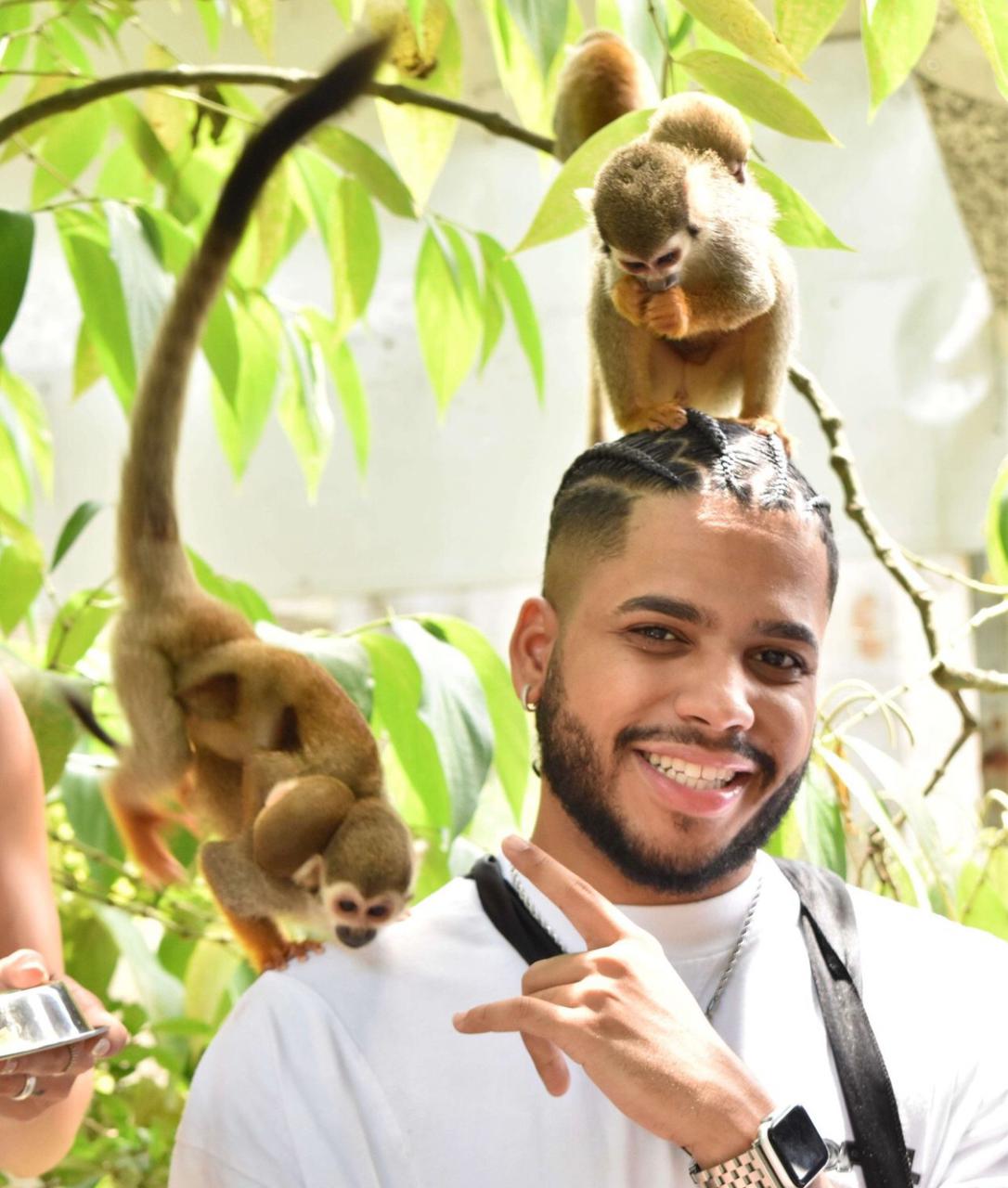 Monkey Land: Encuentro con Monos Ardilla - Foto 2