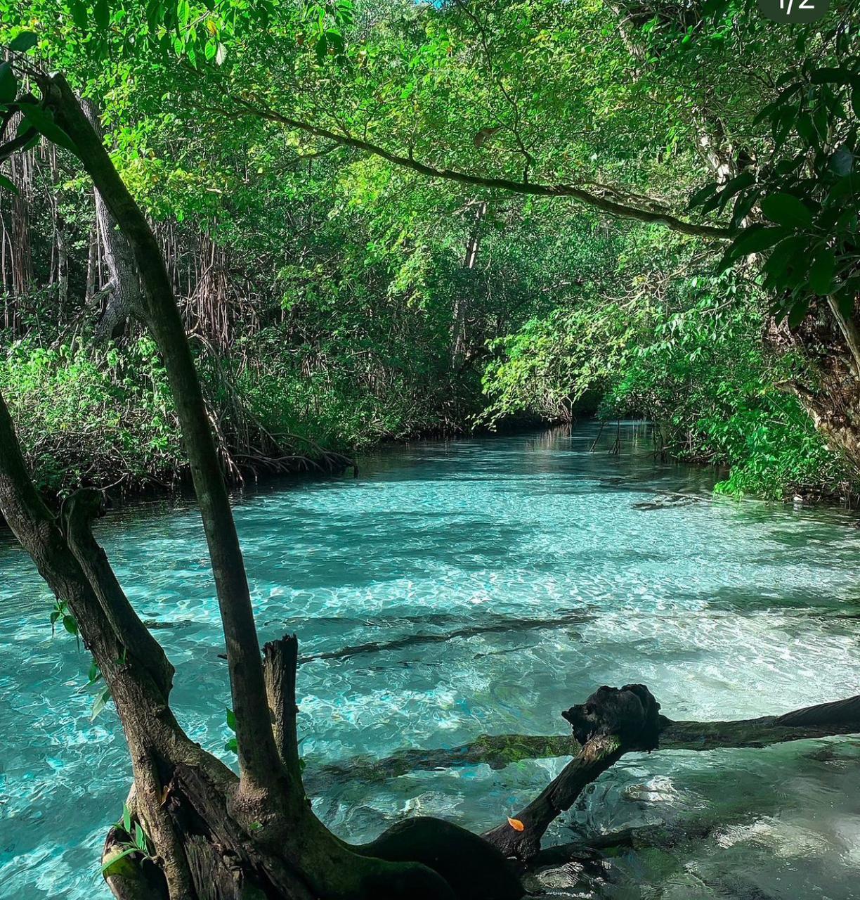 Samaná: Cayo Levantado y Salto Limón - Foto 6