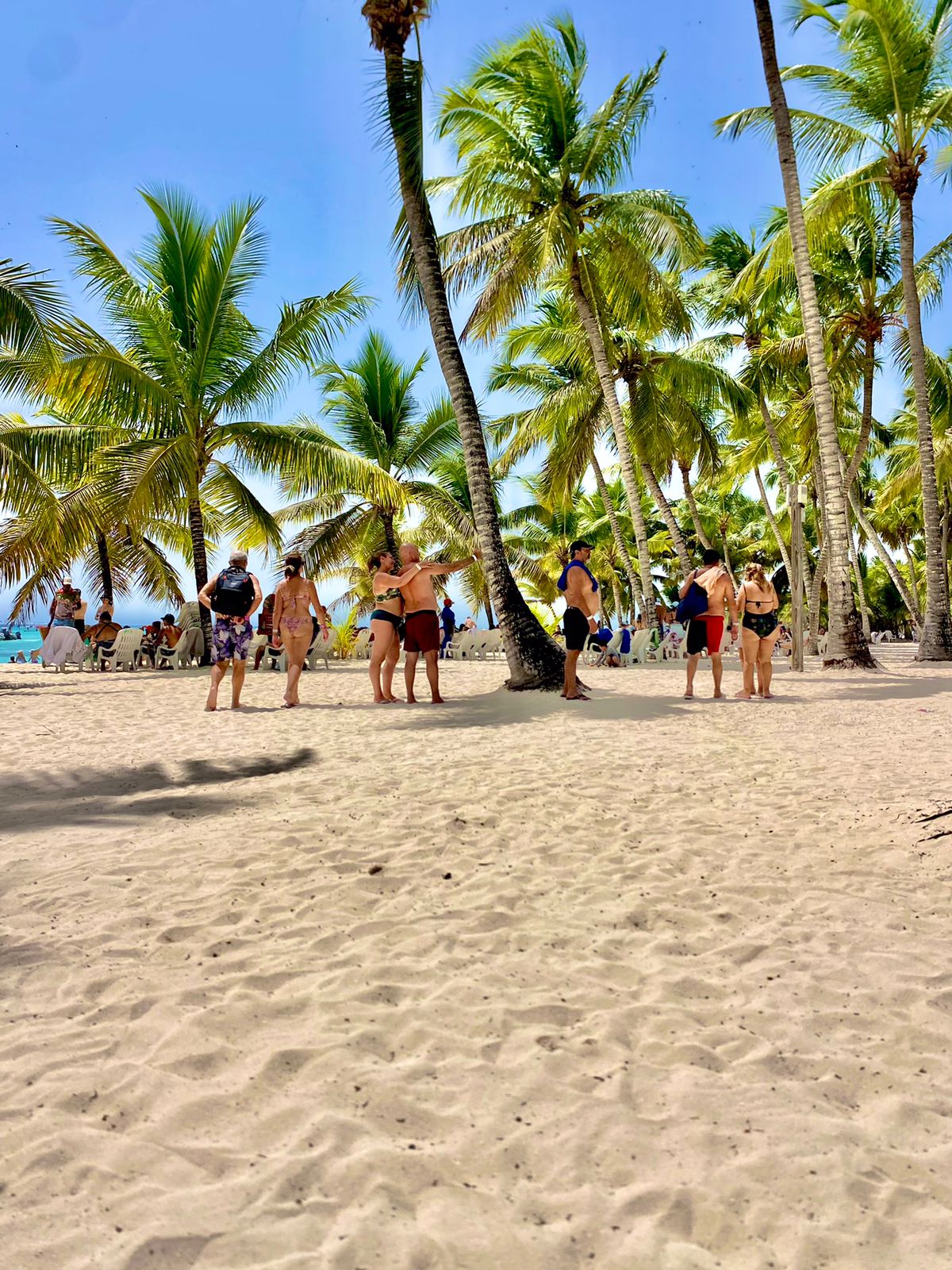 Isla Saona VIP: Catamarán y Lanchas Rápidas - Foto 5