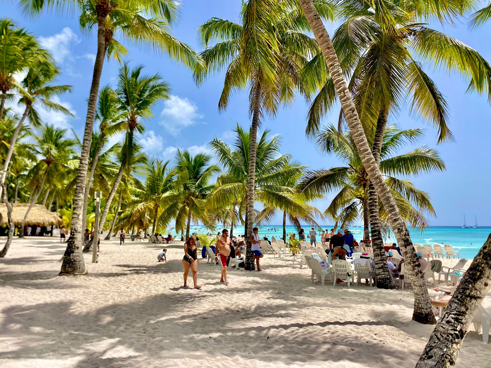 Isla Saona VIP: Catamarán y Lanchas Rápidas - Foto 6