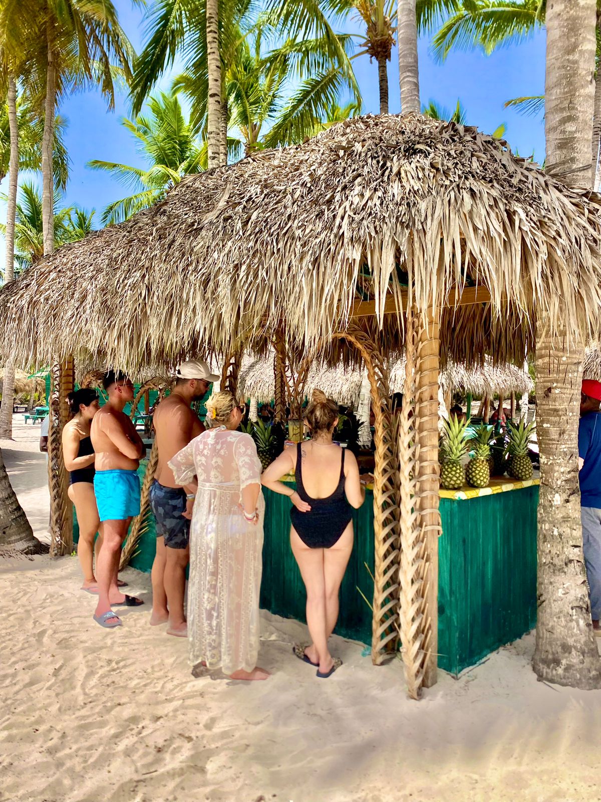 Isla Saona VIP: Catamarán y Lanchas Rápidas - Foto 8