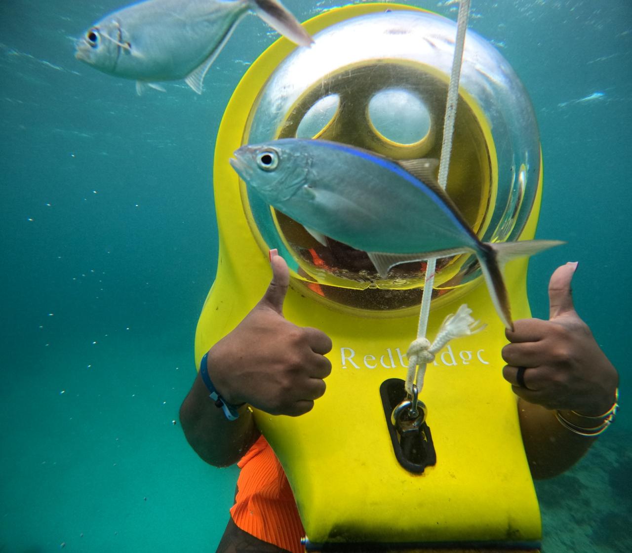 Scuba Doo: Aventura Submarina - Foto 4