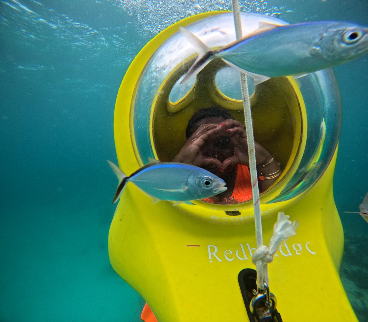 Scuba Doo: Aventura Submarina - Foto 5